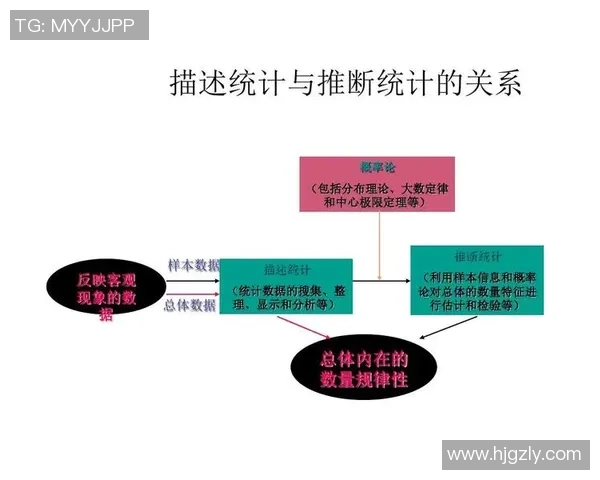 辽宁与福建对决数据分析全面解读比赛表现与关键统计
